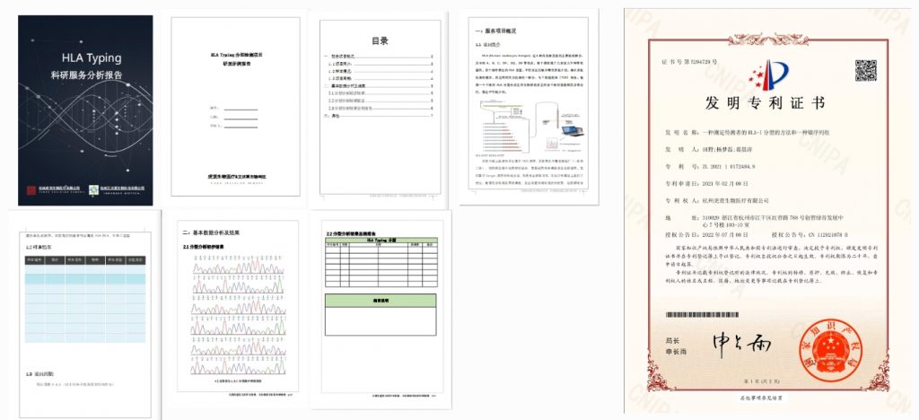 抗原特异性 CD8+ T 细胞示意图